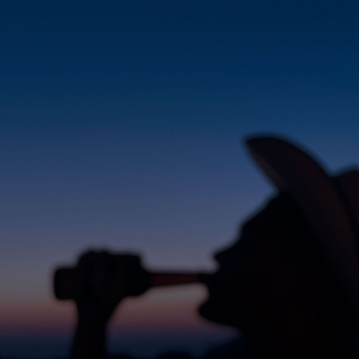 Album cover of lonely