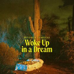 Cover of Woke Up in a Dream