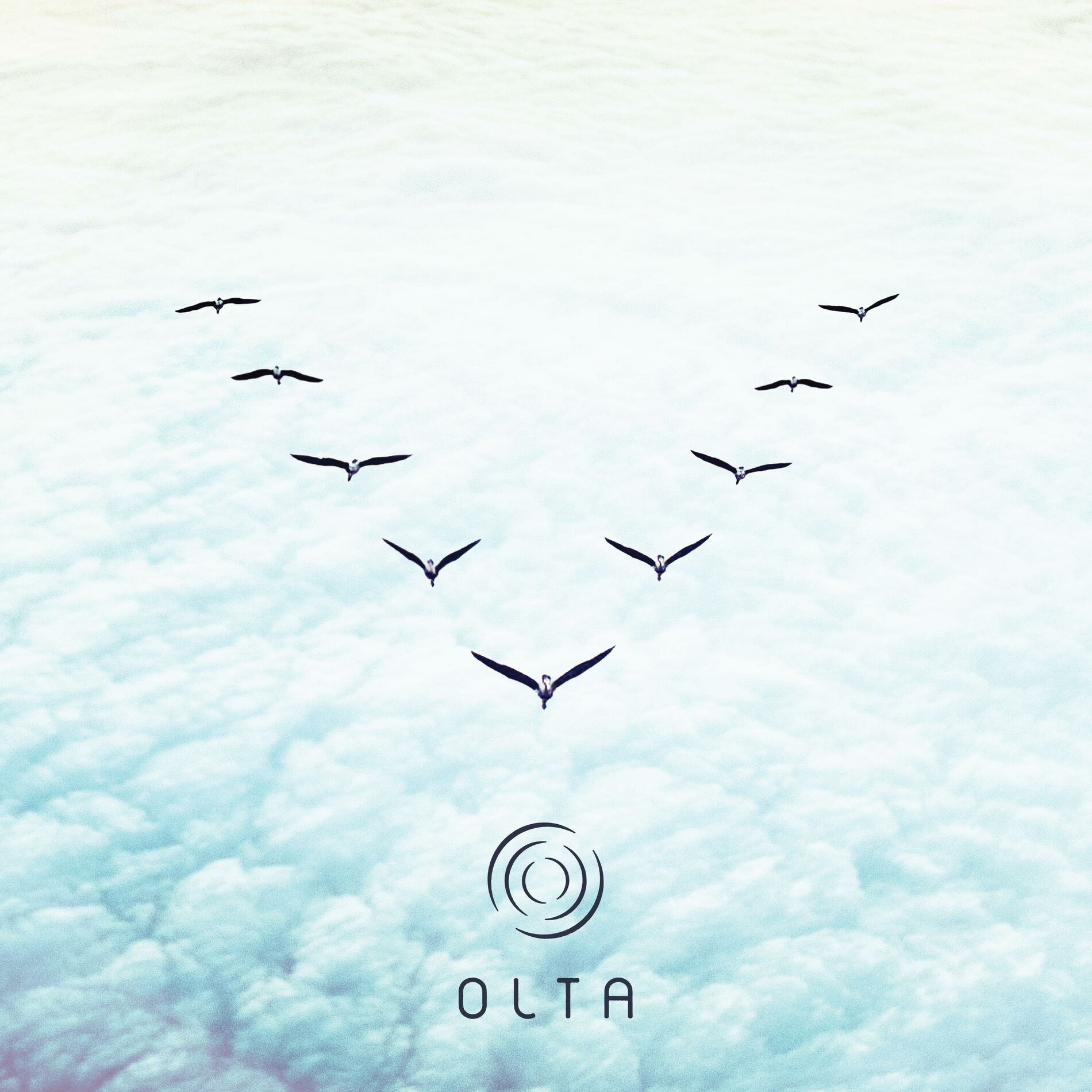 Album cover of Olta 5