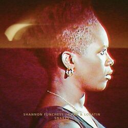 Cover of Snakes / Flying Dream