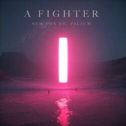 Cover of A Fighter