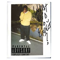 Cover of What did you expect