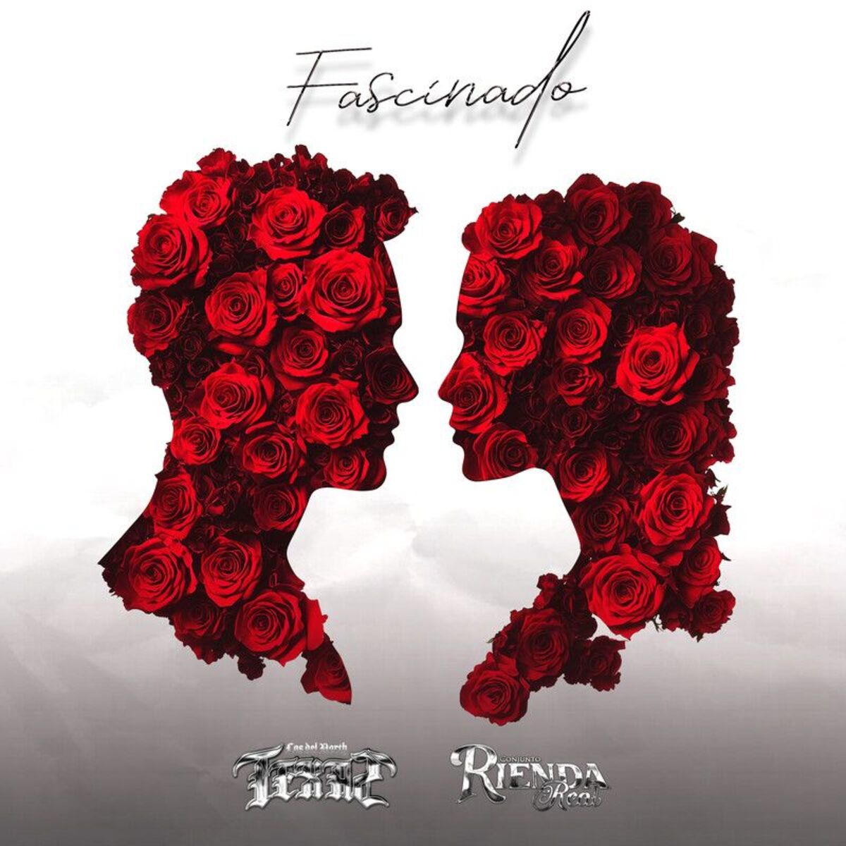 Album cover of Fascinado