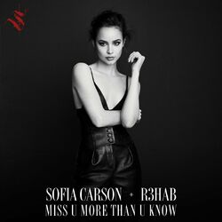 Cover of Miss U More Than U Know