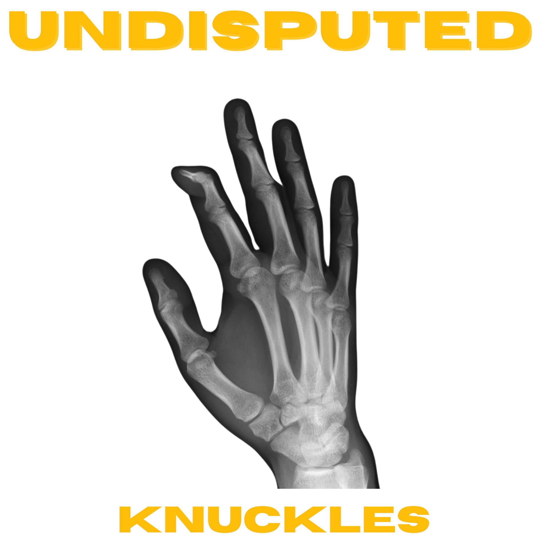 Album cover of Knuckles