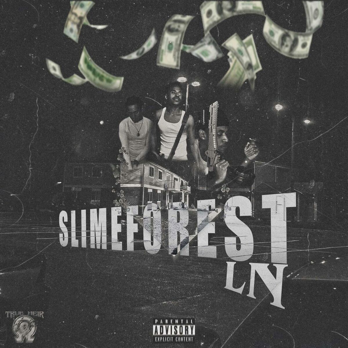 Album cover of SlimeForest Ln