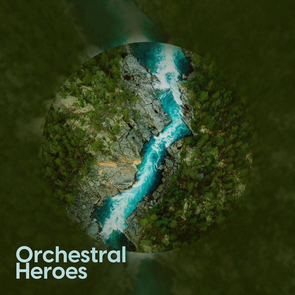 Picture of Orchestral Hereos
