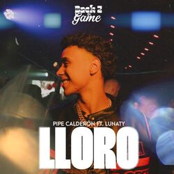 Cover of Lloro