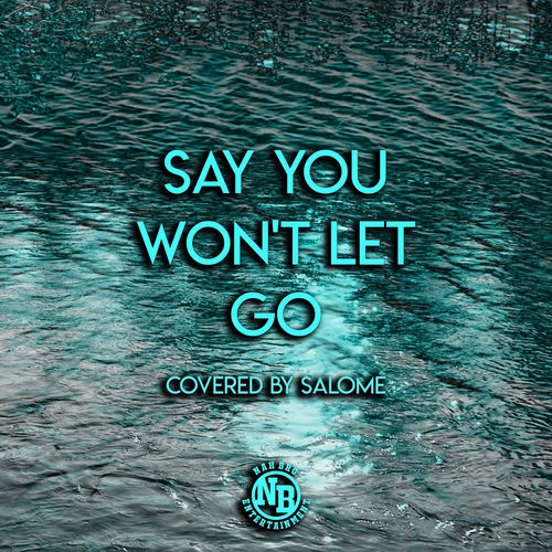 Portada de Say You Won't Let Go (Cover)