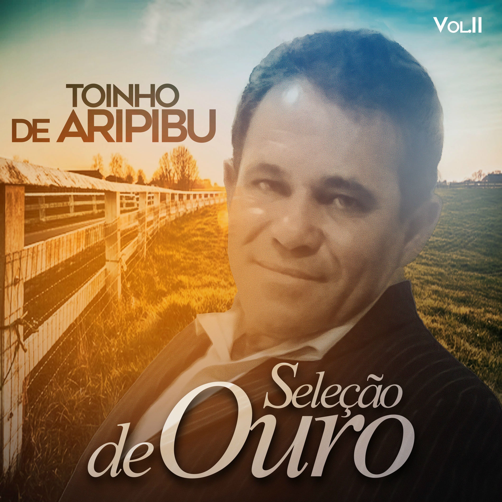 Album cover of O Que Me Falta Fazer Mais