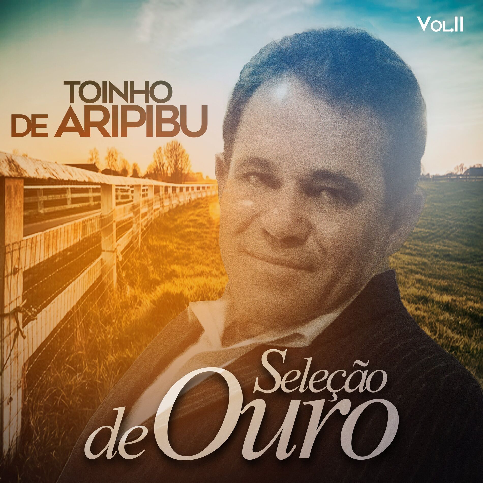 Album cover of Seleção de Ouro, Vol. II