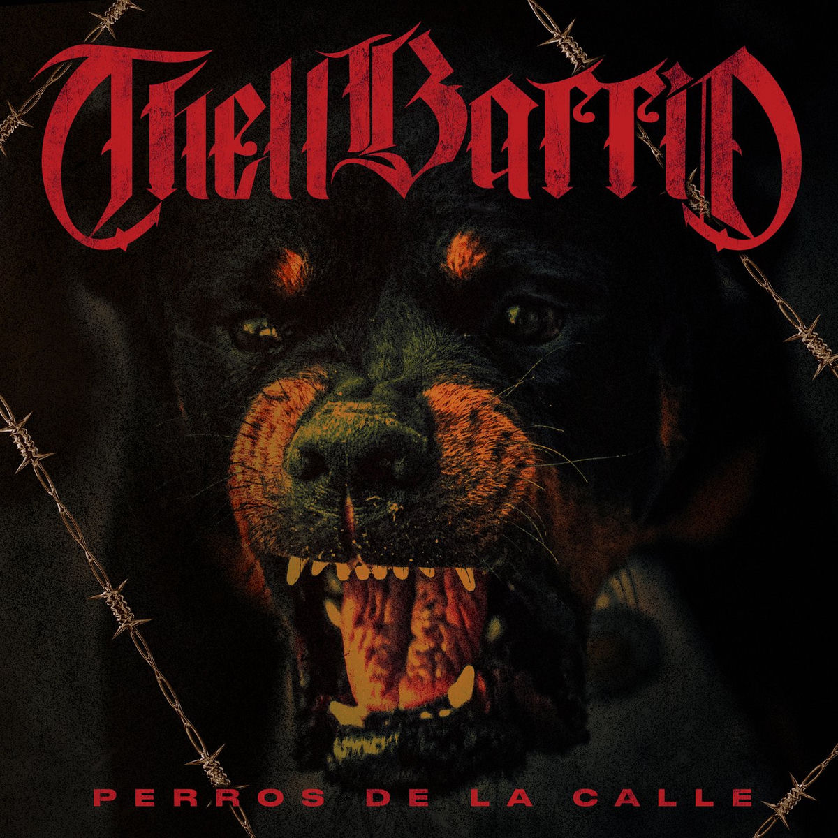 Album cover of Perros De La Calle
