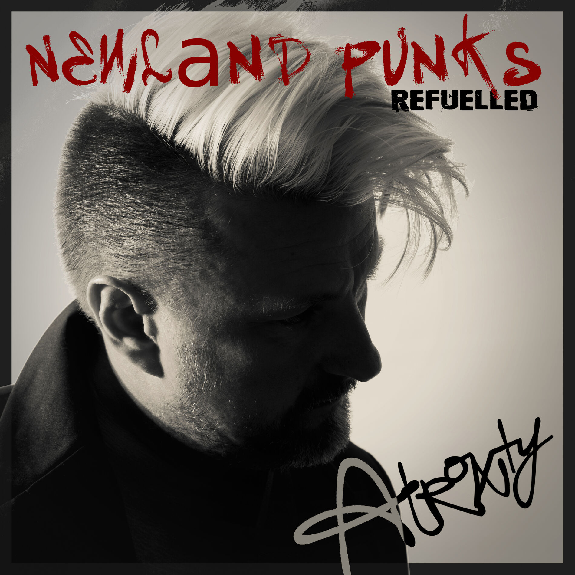 Album cover of Newland Punks Refuelled