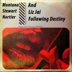 Cover of Following Destiny (Latin Soul Mix)