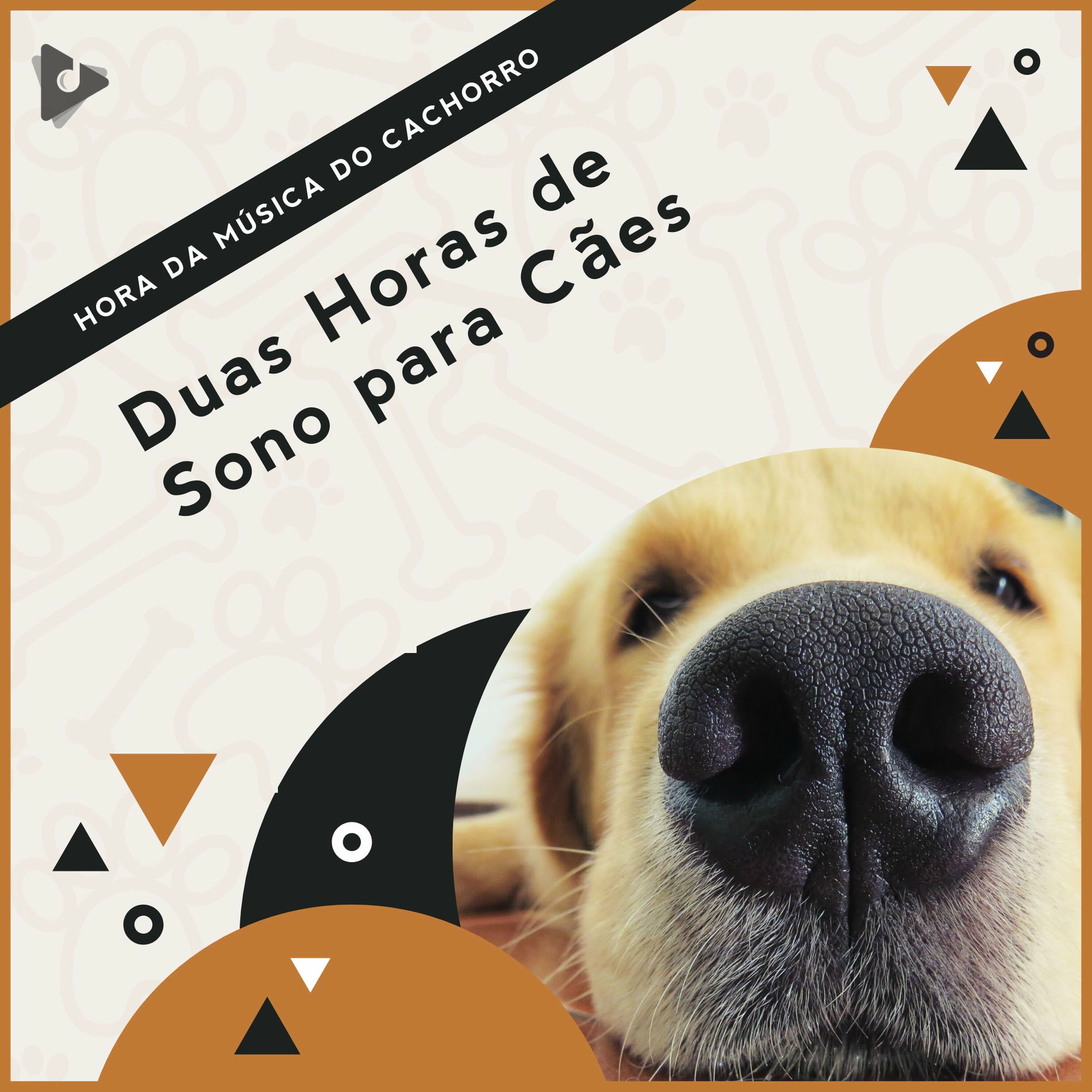 Album cover of 2 Horas de Sono para Cães