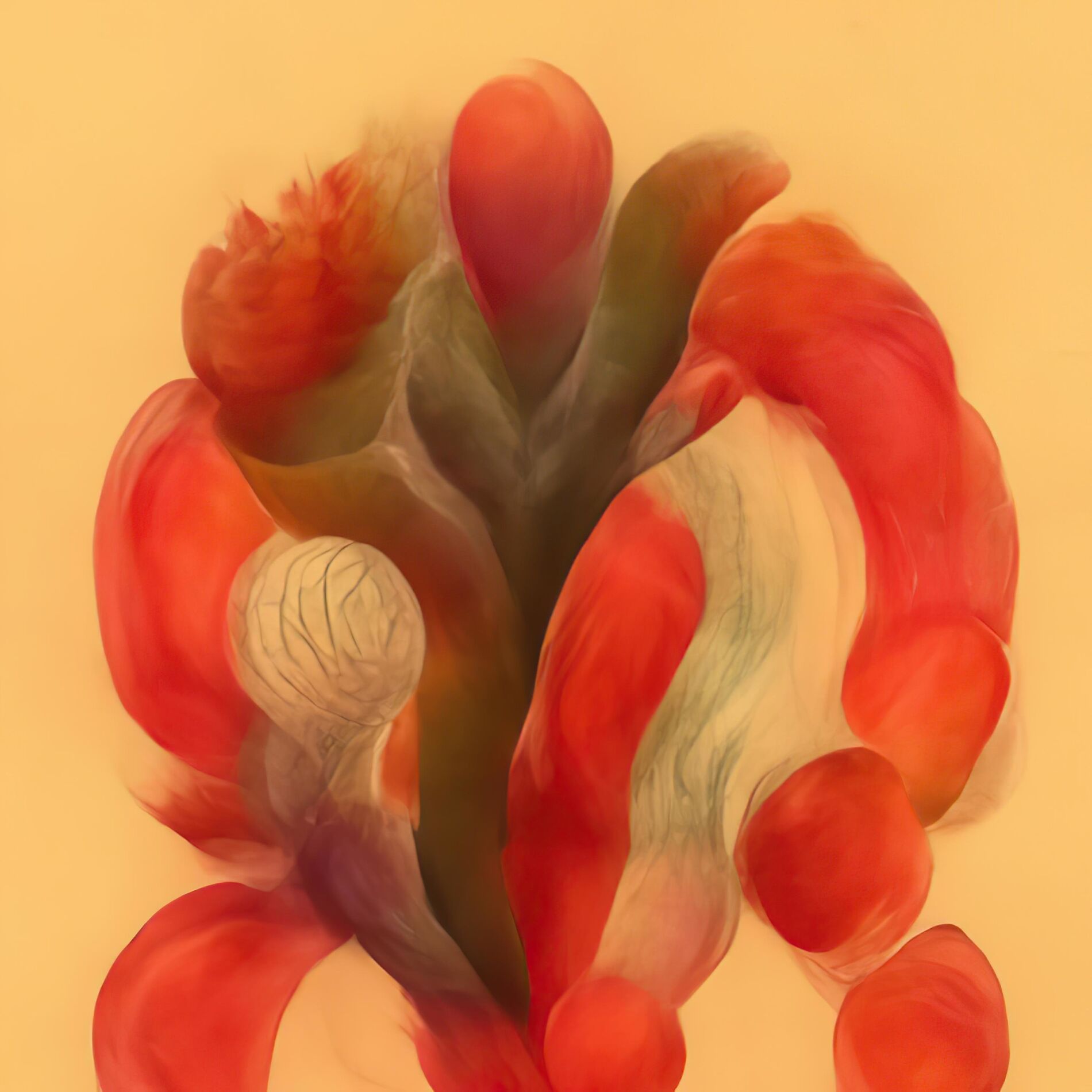 Album cover of Mr.