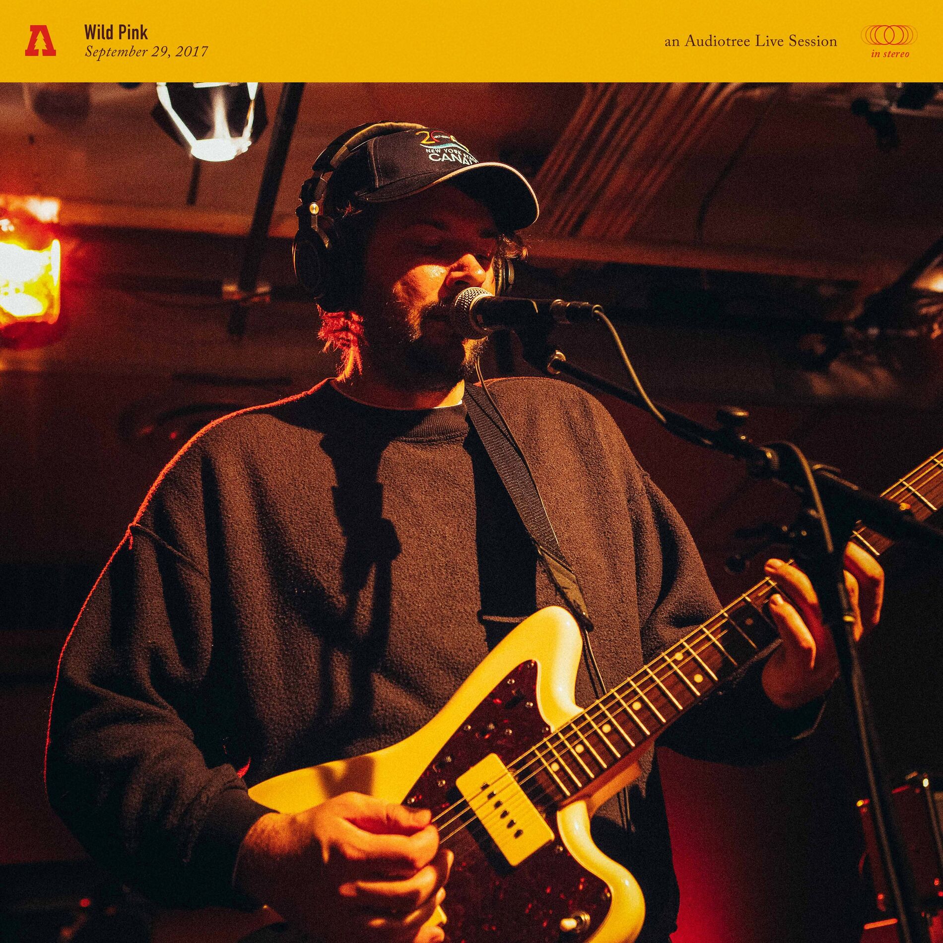 Album cover of Wild Pink (Audiotree Live)