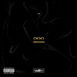 Cover of Orion Gang V2