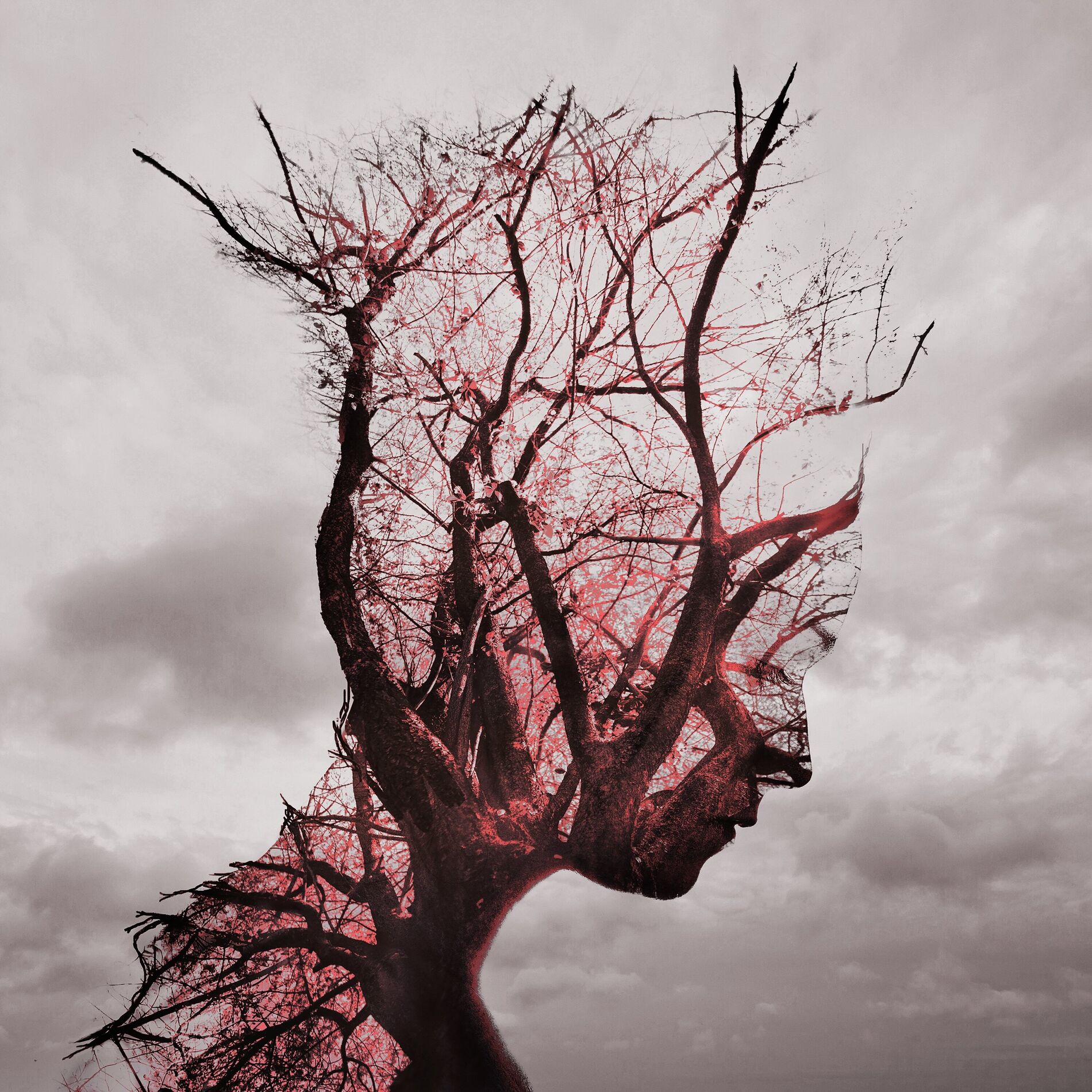 Album cover of LOSE YOU