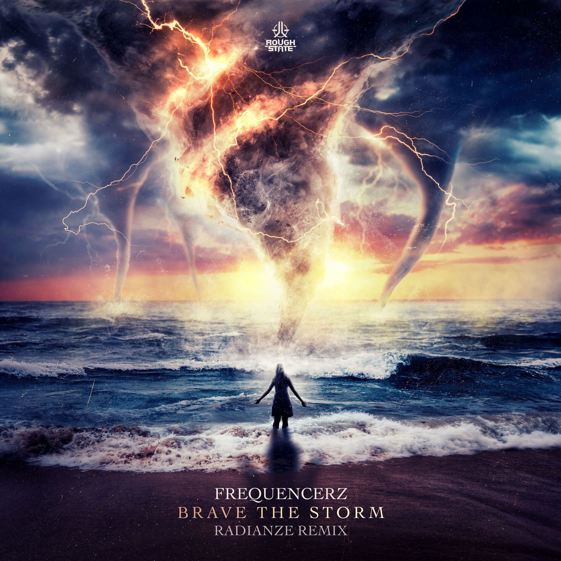 Album cover of Brave The Storm