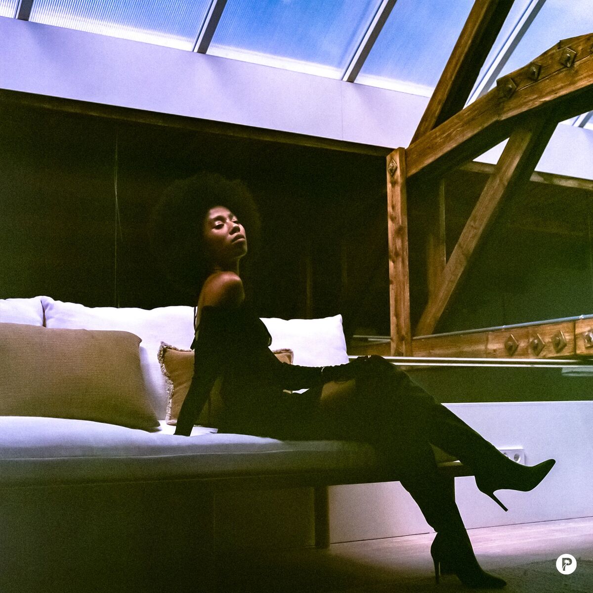 Album cover of Evidence