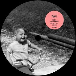 Cover of Repeated Voids