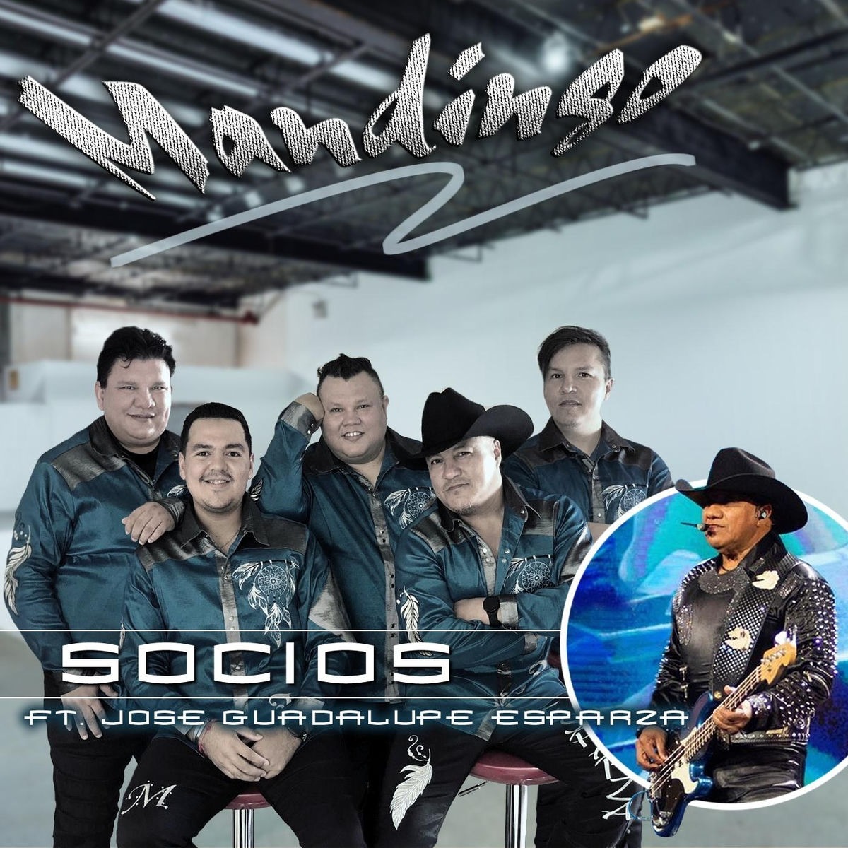Album cover of Socios