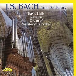 Cover of Bach from Salisbury