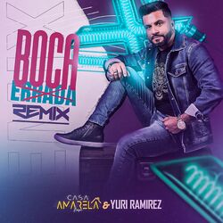 Cover of Boca Errada (Remix)