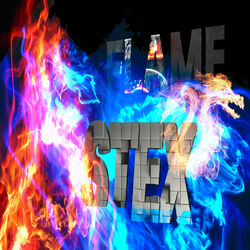 Cover of Flame