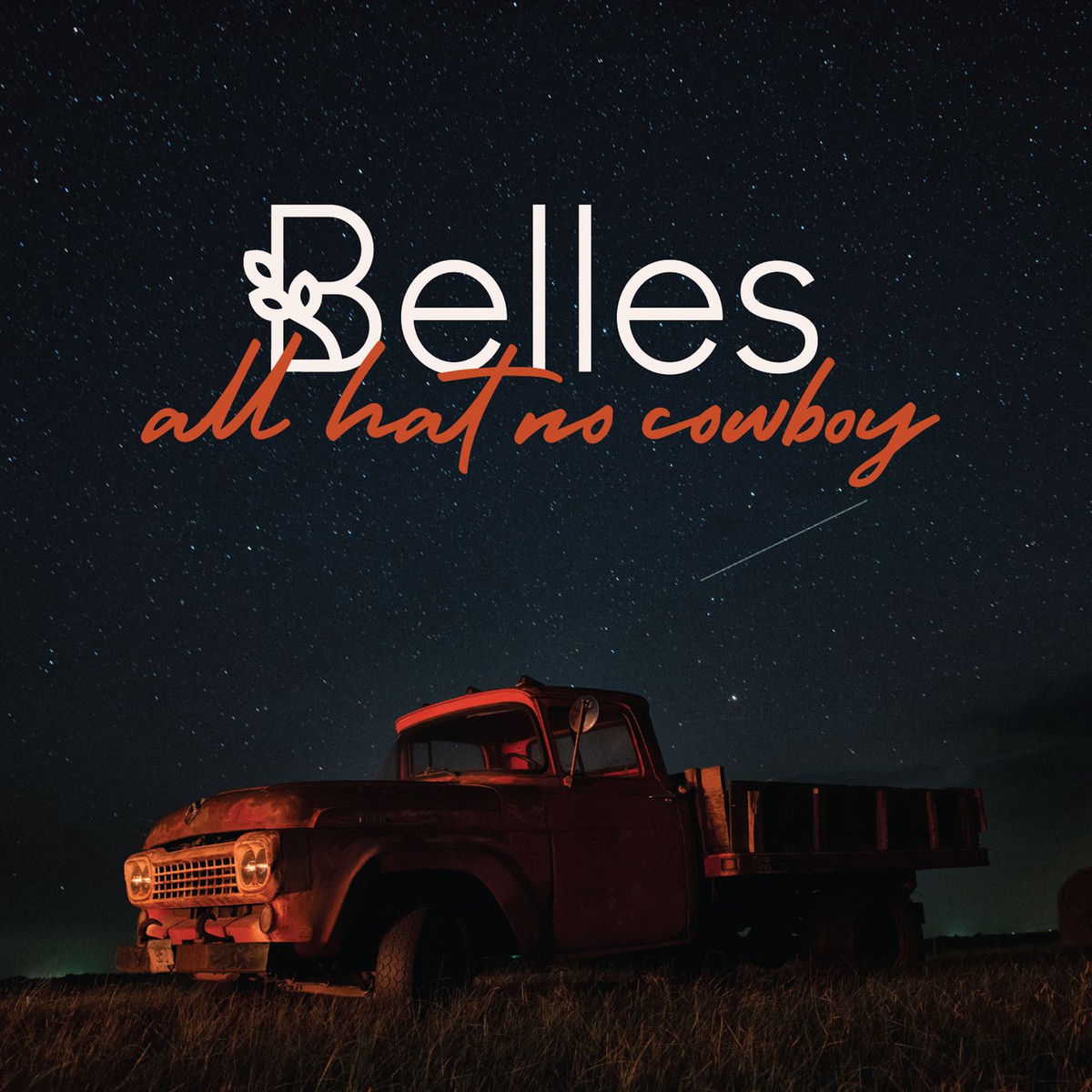 Album cover of All Hat No Cowboy