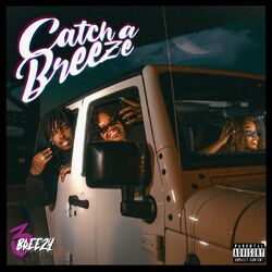 Cover of Catch A Breeze