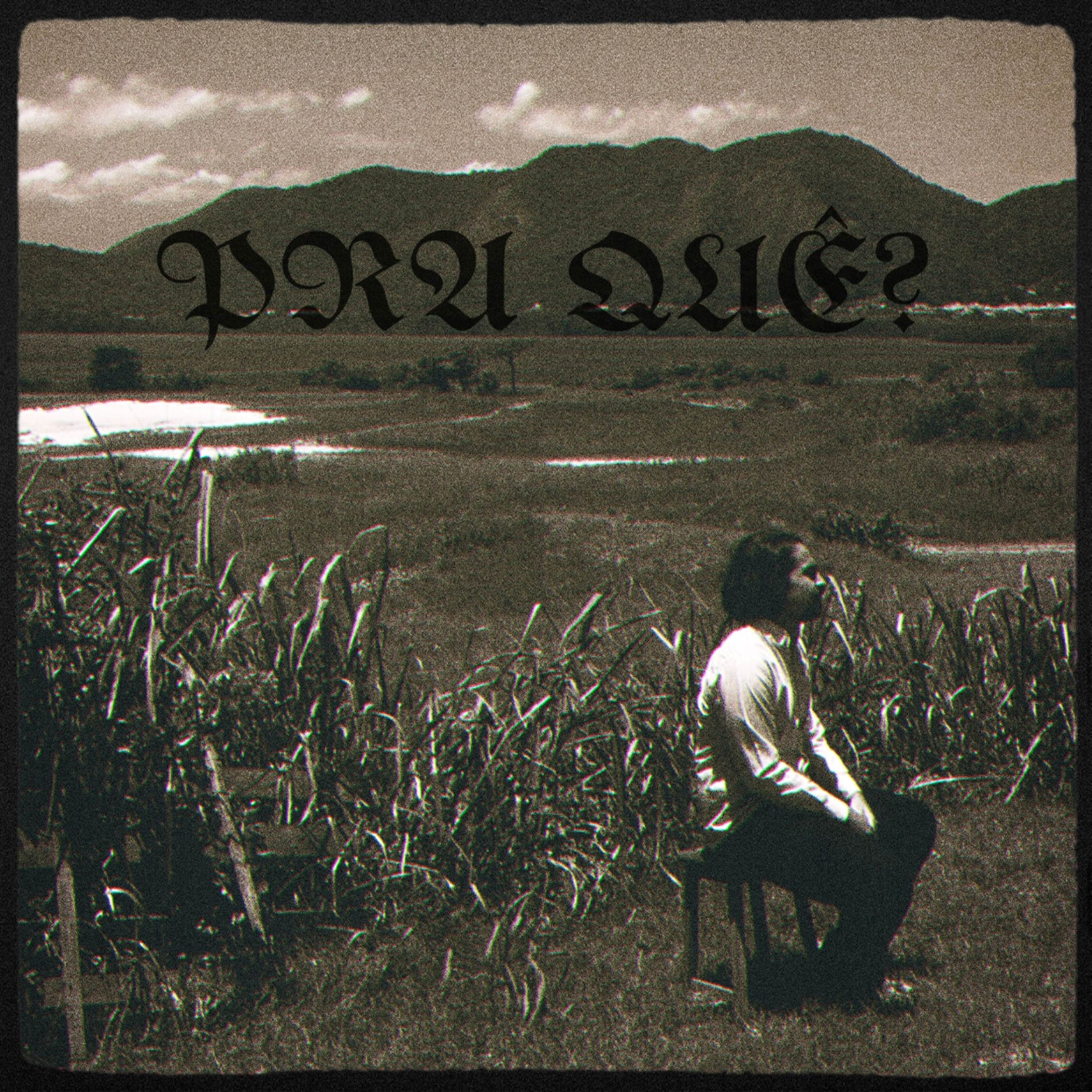 Album cover of Pra Quê?