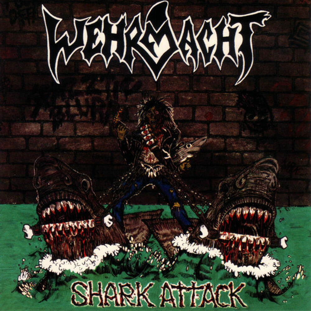 Picture of Shark Attack