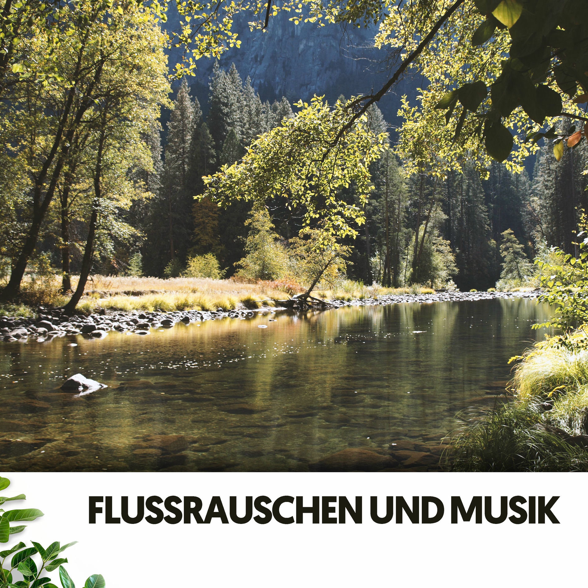 Album cover of Flussrauschen und Musik: Die Rhythmen der Wasserwege der Natur