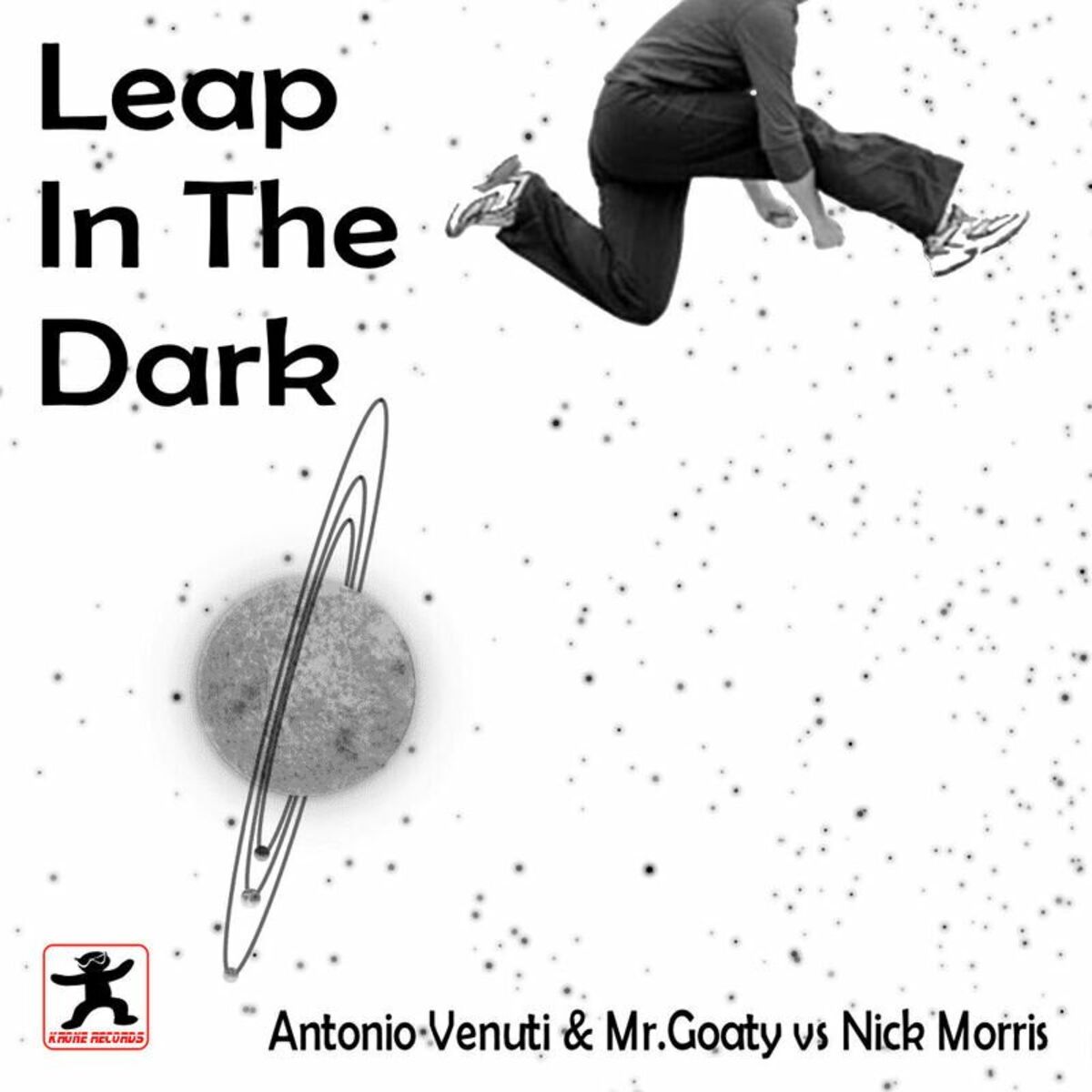 Album cover of Leap in the Dark