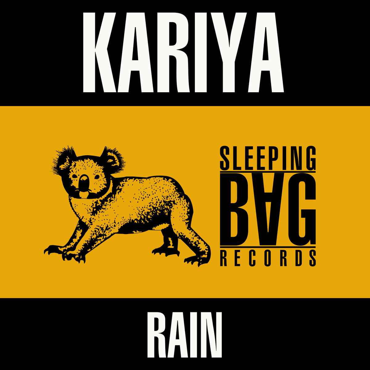 Album cover of Rain