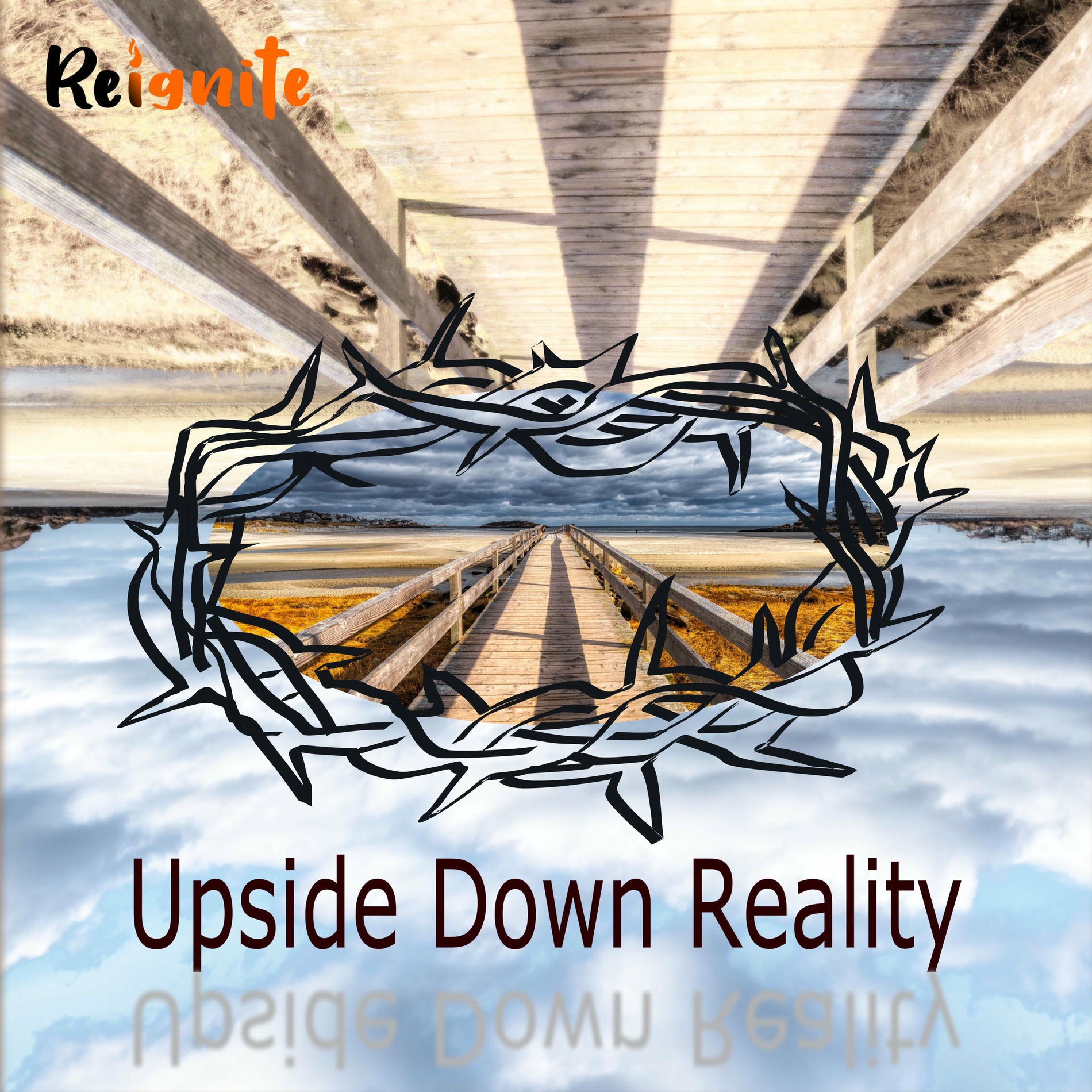 Upside Down Reality cover