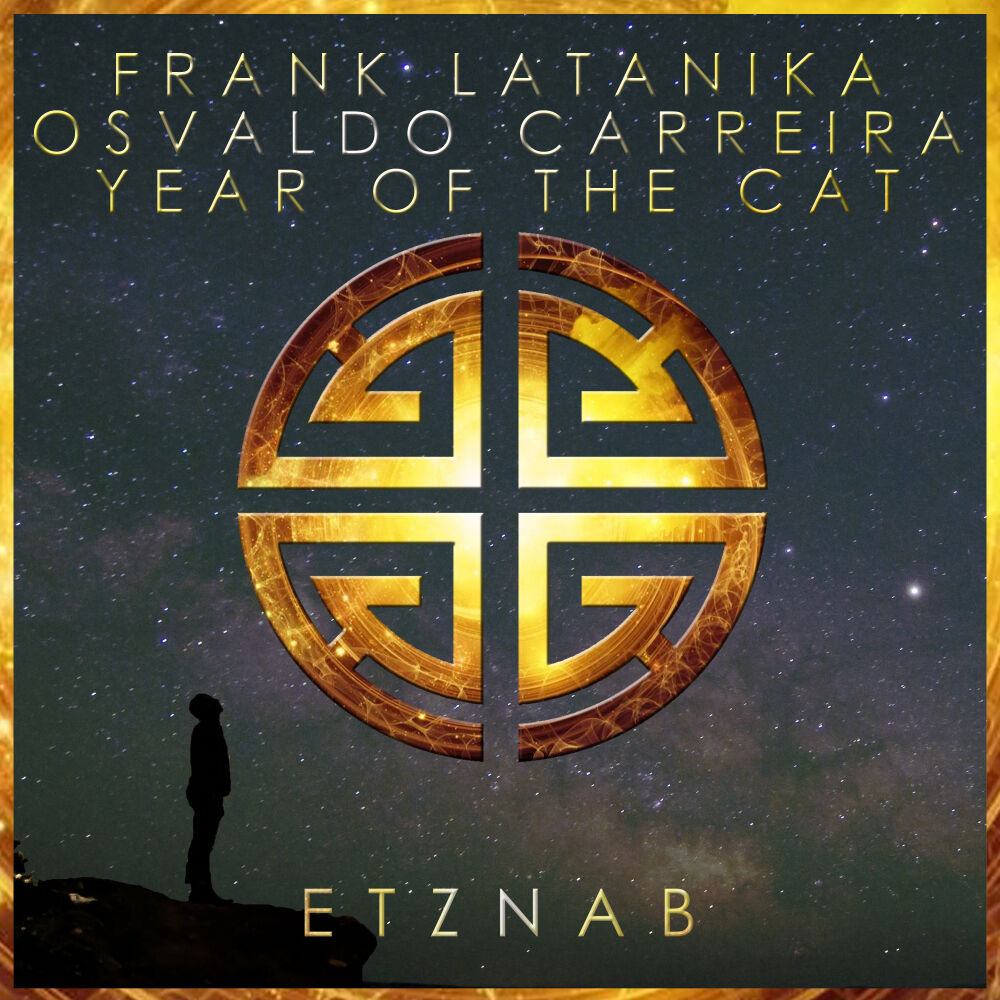 Picture of Year Of The Cat (Radio Edit)