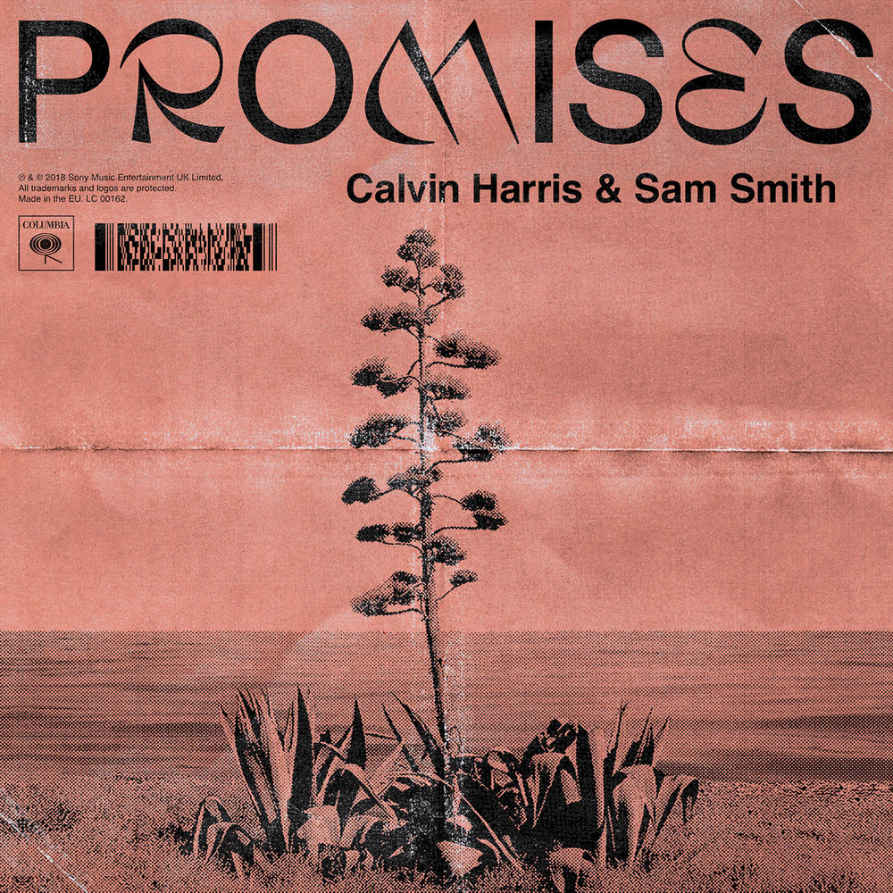 Picture of Promises