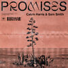 CALVIN HARRIS feat. SAM SMITH - PROMISES