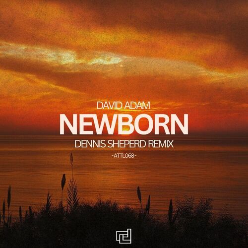  David Adam - Newborn (Dennis Sheperd Remix) (2025) 