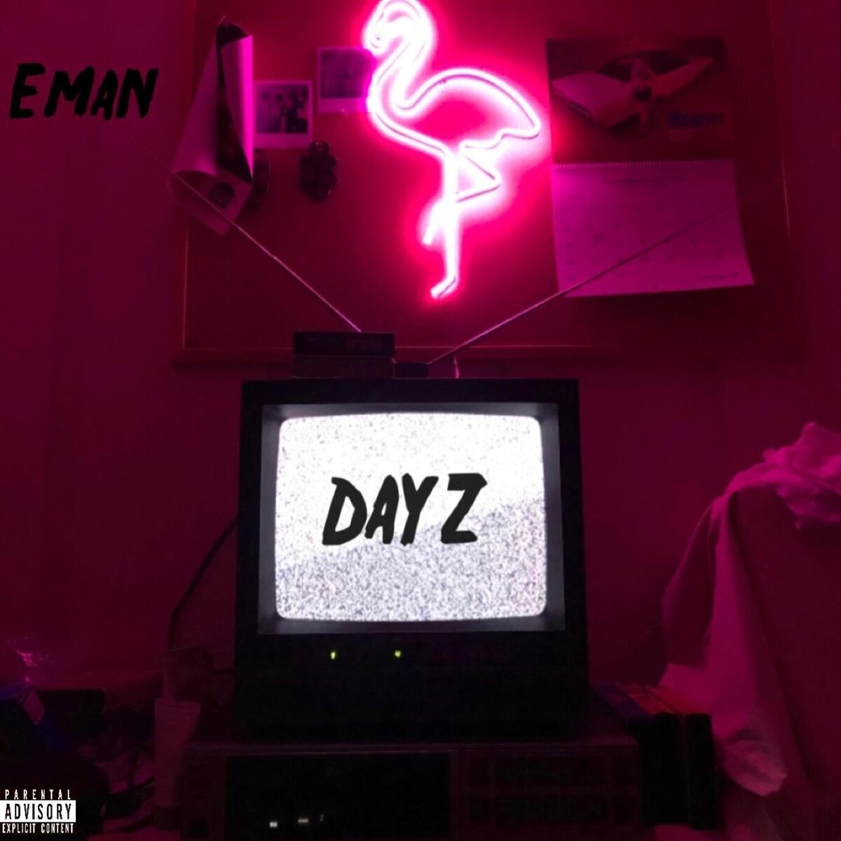 Album cover of Dayz