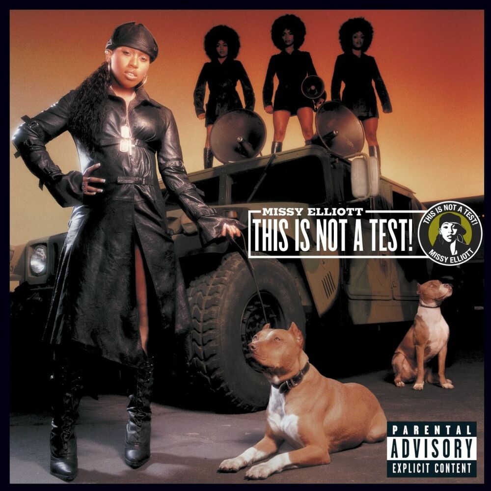 Picture of This Is Not a Test!