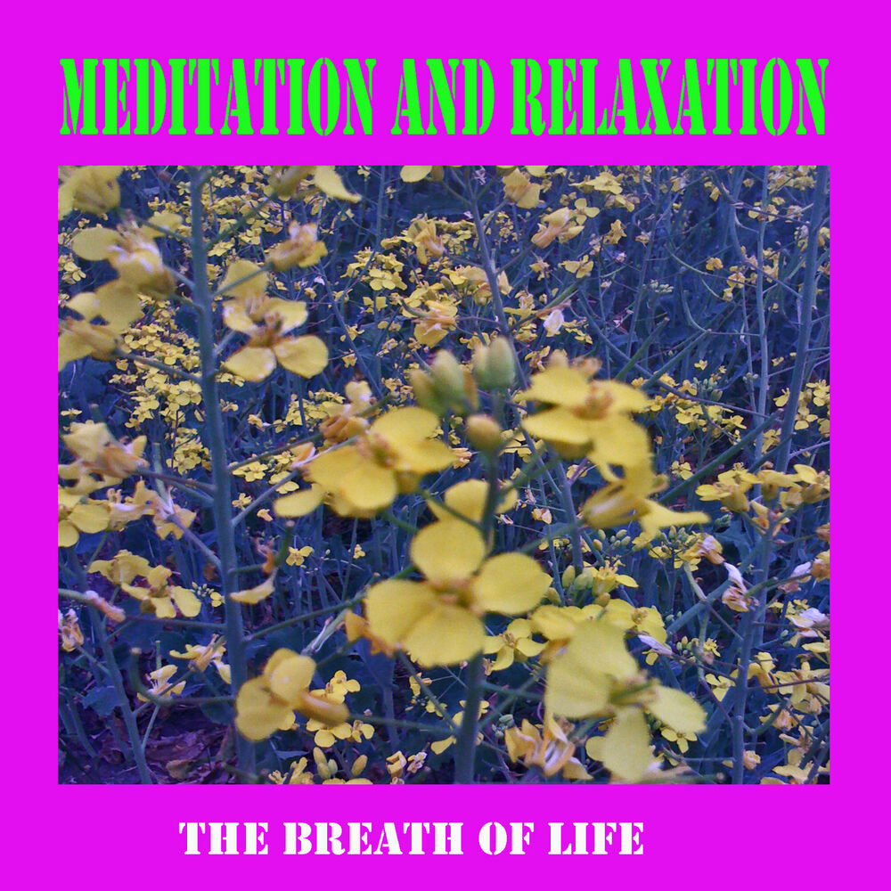 Picture of Meditation and Relaxation