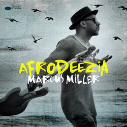 Cover of Afrodeezia