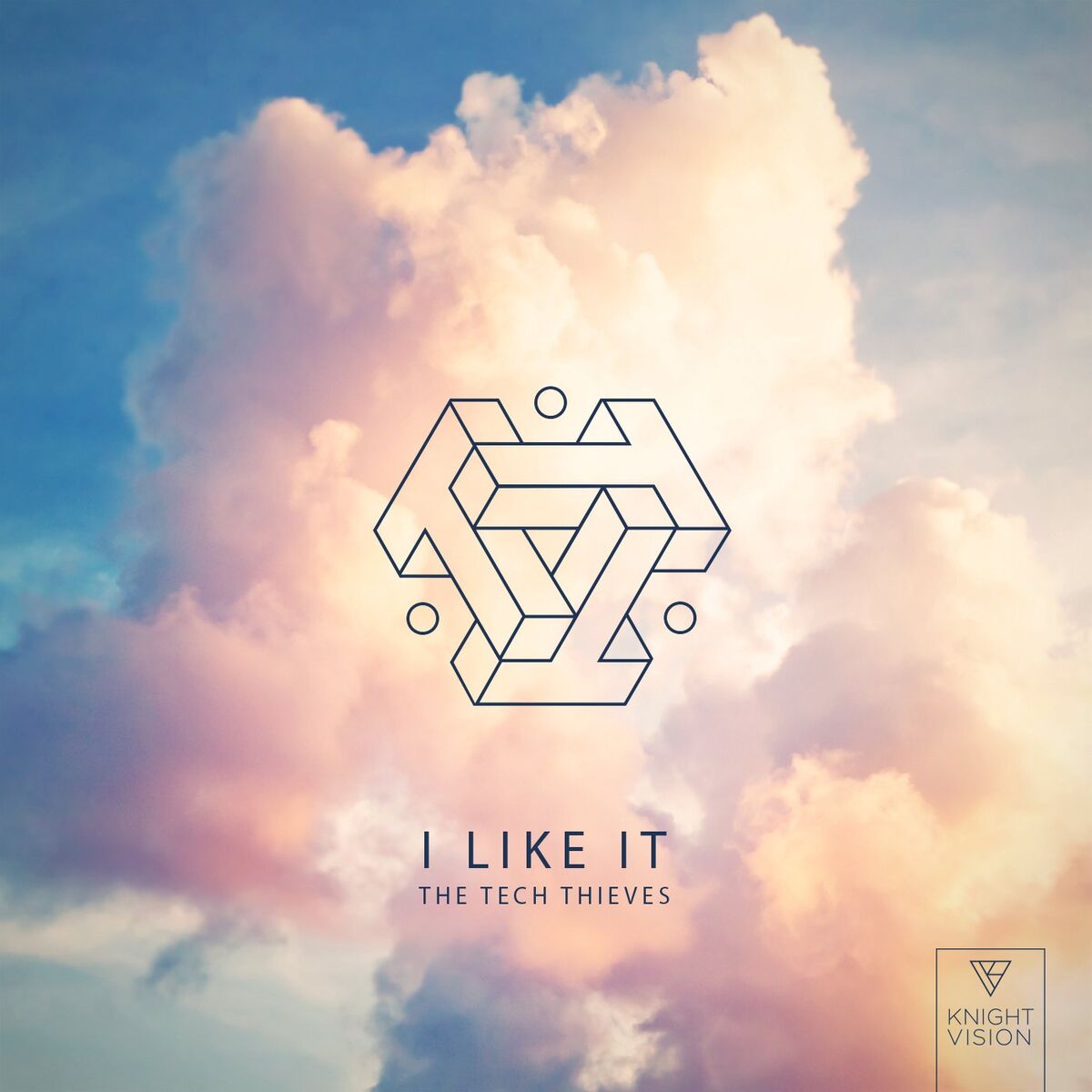 Album cover of I Like It