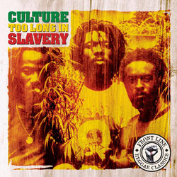 Cover of Too Long In Slavery