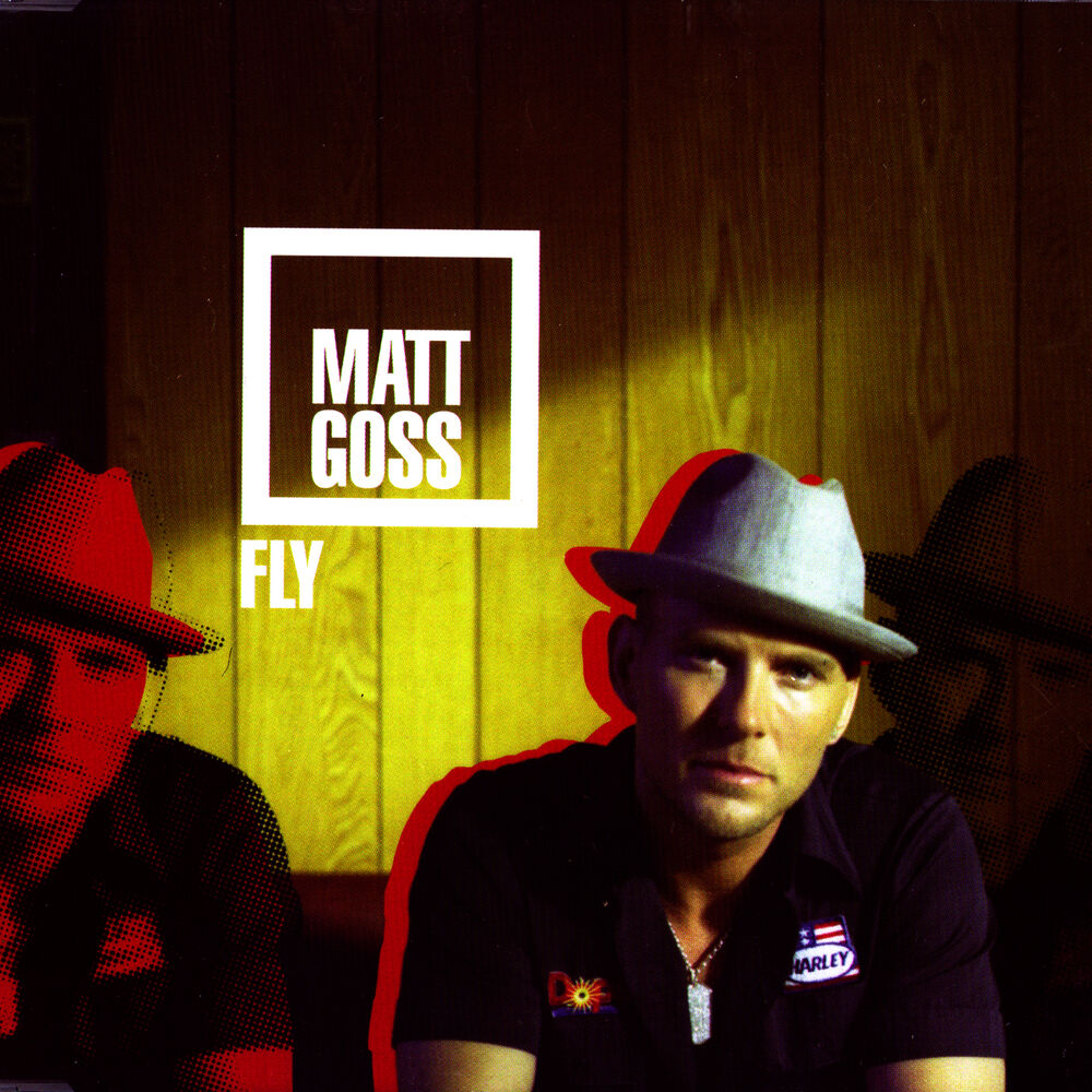 Picture of Fly