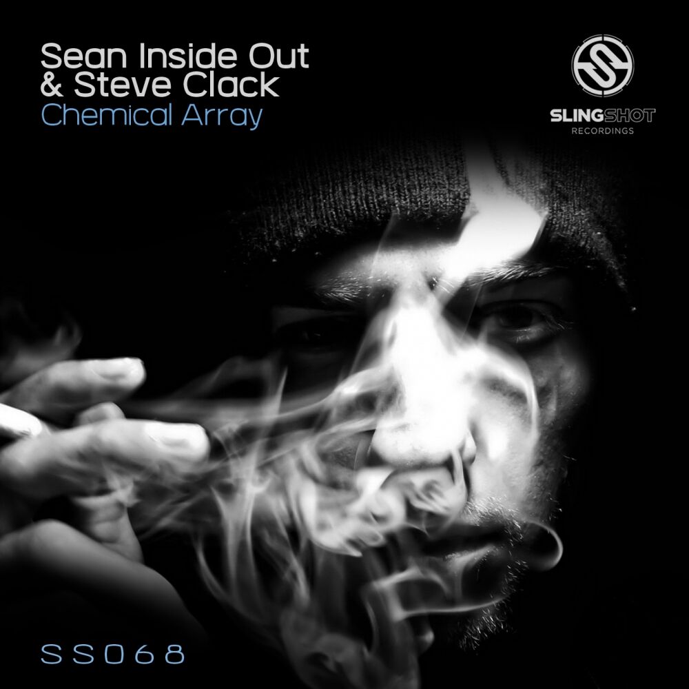 Picture of Chemical Array